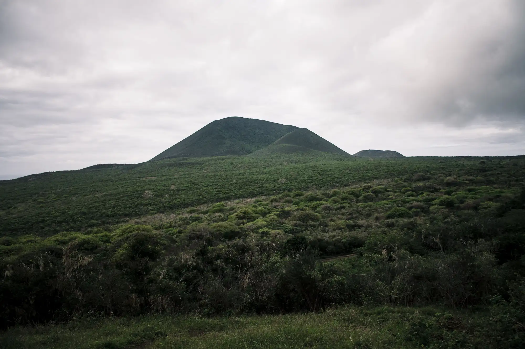 Asilo de la Paz